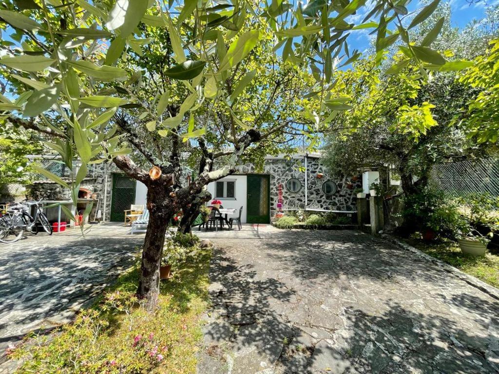 Rosy Apartment - Levanto, 5 Terre Luaran gambar