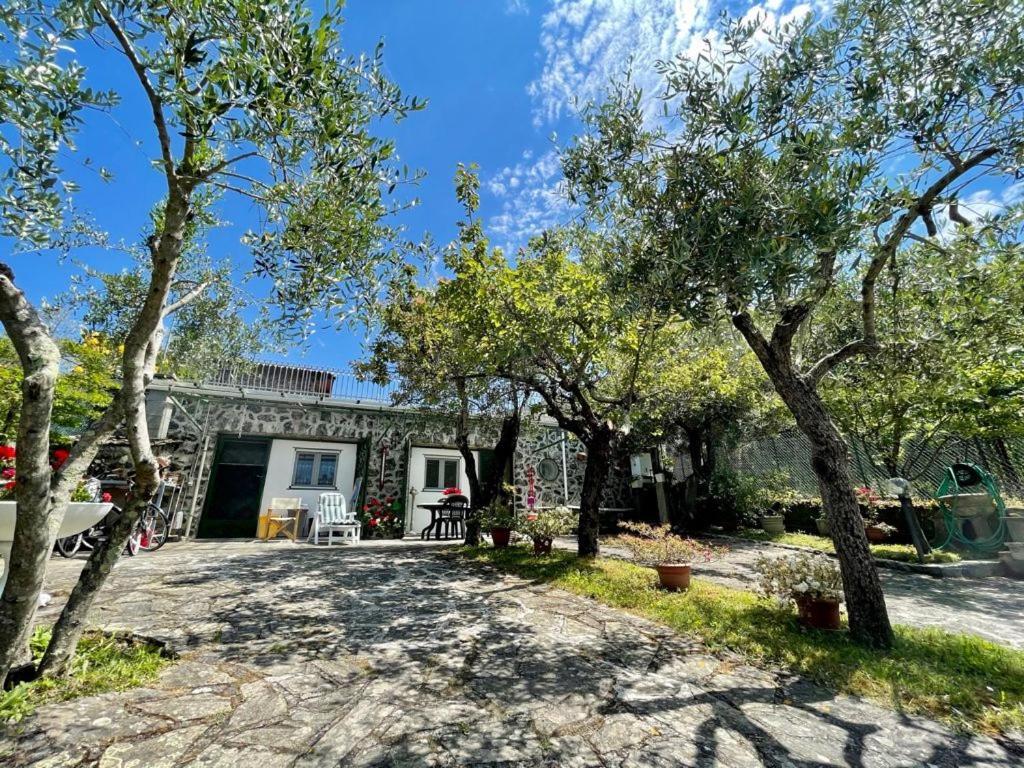 Rosy Apartment - Levanto, 5 Terre Luaran gambar